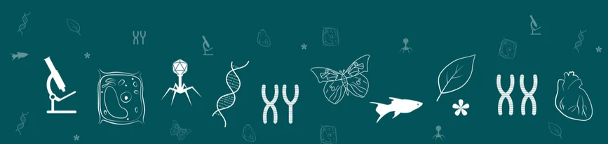 1 - Biología Humana - LPLPS-1-NN - 2025